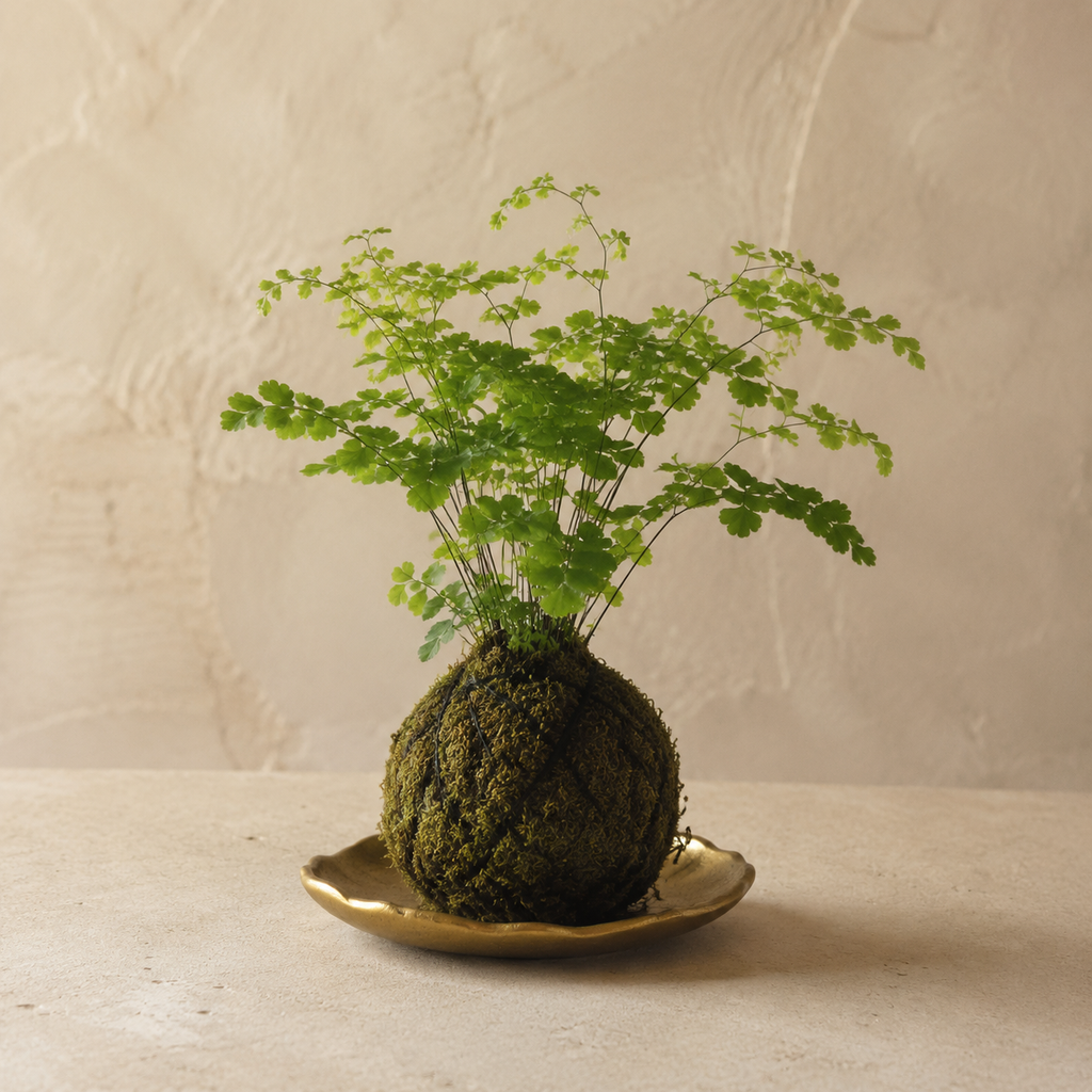 Petite fern Kokedama living botanical sculpture by Le Rosse Studio