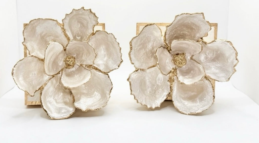 Two oyster-shell magnolias styled together, each sold individually