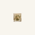 Sculptural Heirloom wedding flower preservation in bright ivory bridal styling